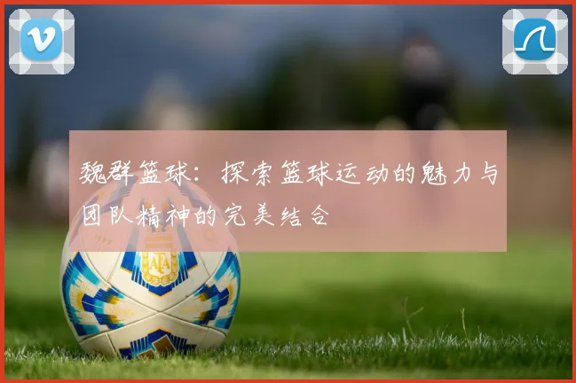 魏群篮球：探索篮球运动的魅力与团队精神的完美结合