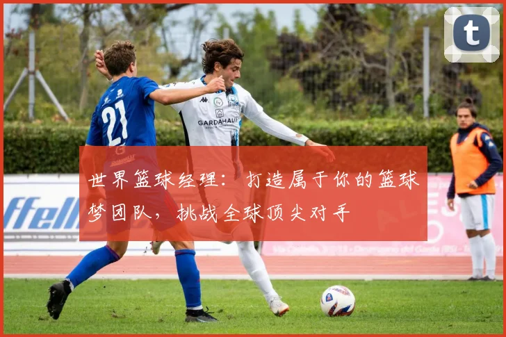 世界篮球经理：打造属于你的篮球梦团队，挑战全球顶尖对手