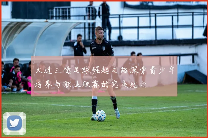 大连三德足球崛起之路探索青少年培养与职业联赛的完美结合